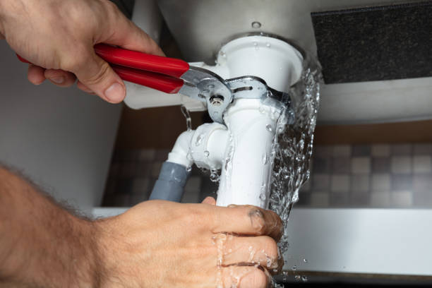 Best Mold removal after water damage  in Hollister, MO