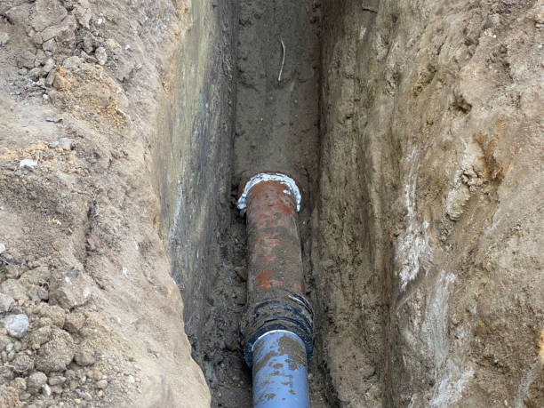Best Flood restoration services  in Hollister, MO
