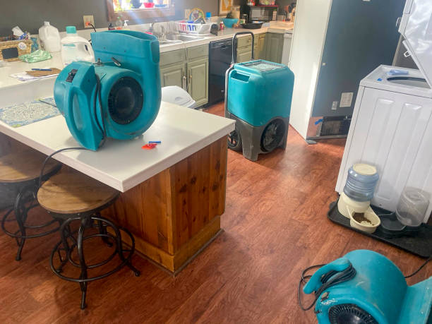 Best Professional water damage repair  in Hollister, MO
