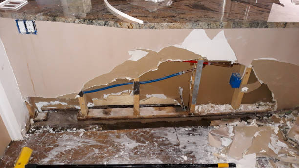 Best Water damage restoration company  in Hollister, MO