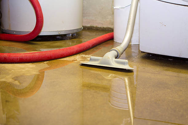 Best Flood damage cleanup  in Hollister, MO