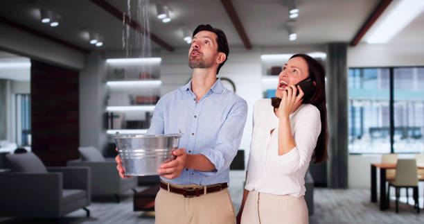 Best Water damage restoration near me  in Hollister, MO