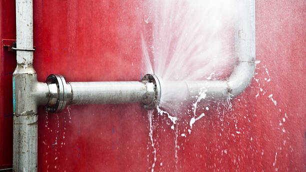 Best Water damage restoration near me  in Hollister, MO